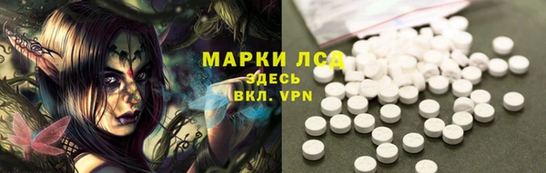 гидра Белоозёрский