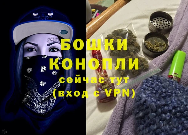 гидра Белоозёрский