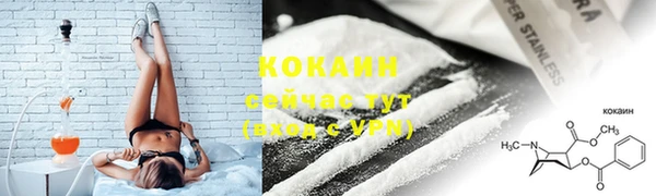 гидра Белоозёрский