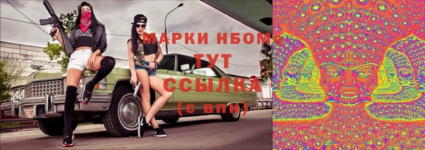 эйфоретик Беломорск