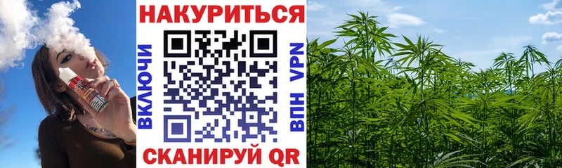 Каннабис индика  наркотики  Няндома 